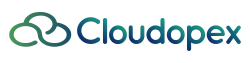 Cloudopex - Sustainable Procurement Intelligence